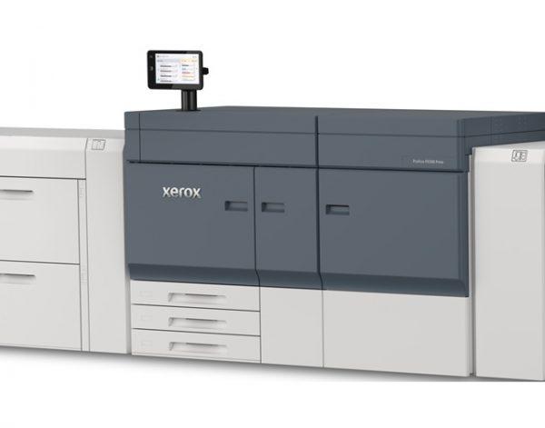 Xerox Proficio PX500